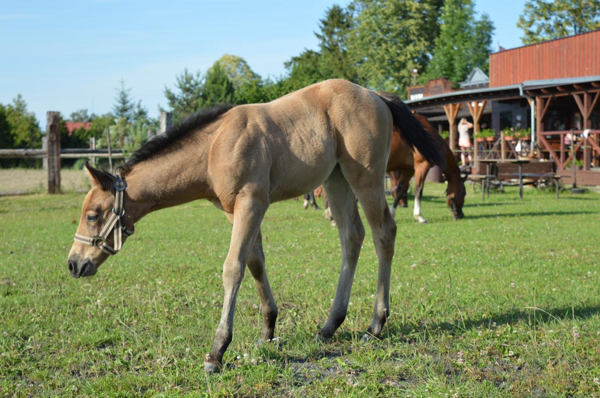 Bubla City Ranch Kopřivnice Kültér fotó